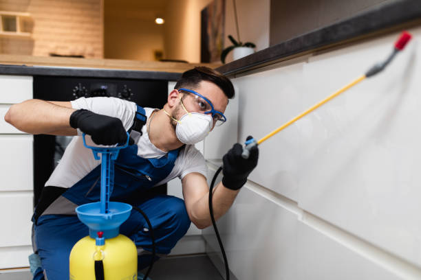 Best Local Pest Control Services  in Cookeville, TN