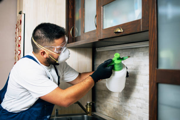 Best Best Pest Control Companies  in Cookeville, TN