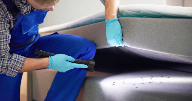 Best Termite Control Services  in Cookeville, TN