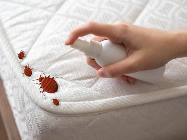 Best Best Pest Control Companies  in Cookeville, TN