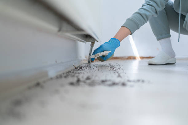 Best Termite Control Services  in Cookeville, TN
